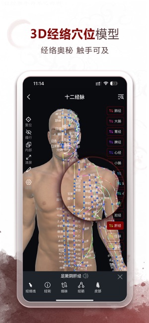 中医经络穴位iPhone版截图1