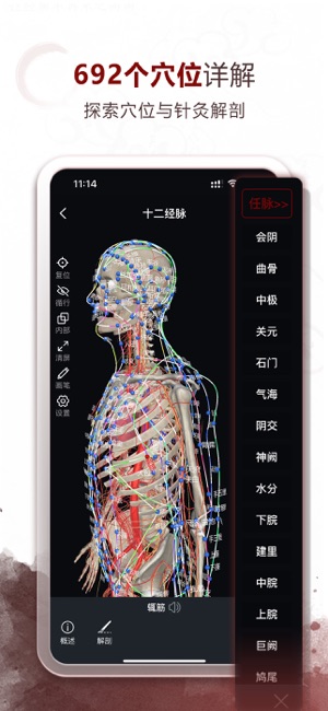 中医经络穴位iPhone版截图2