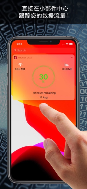 小部件蜂窝数据iPhone版截图1