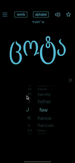格鲁吉亚语iPhone版截图1