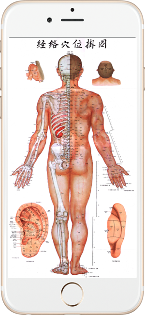 全套高清人体穴位图iPhone版截图1