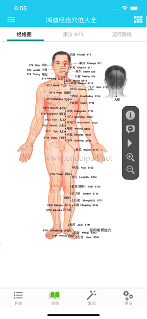 鸿迪经络穴位大全iPhone版截图1