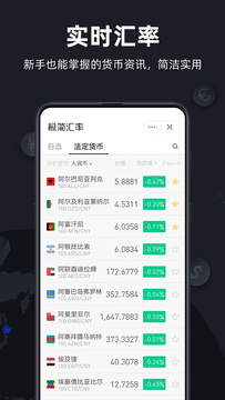 极简汇率截图2