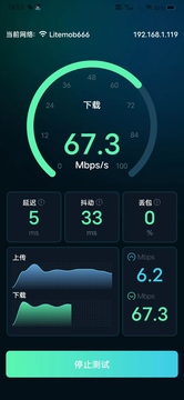 WiFi网速精准极客测鸿蒙版截图3