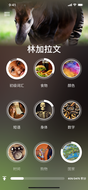 学习林加拉语iPhone版截图1