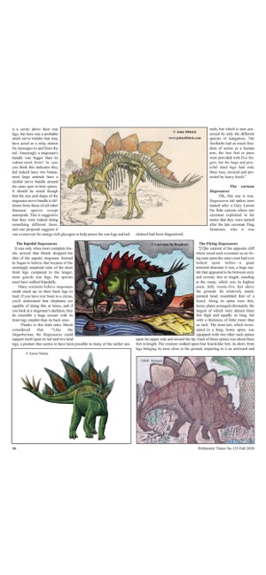 PrehistoricTimesMagazineiPhone版截图3