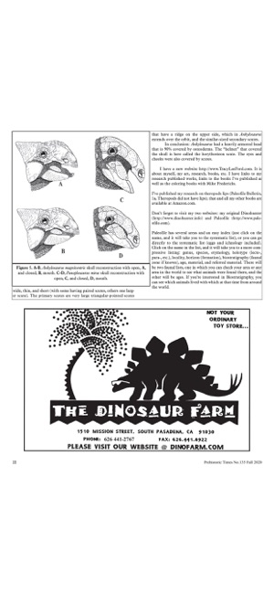 PrehistoricTimesMagazineiPhone版截图5