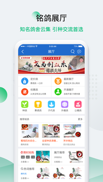 中国信鸽信息网鸿蒙版截图3