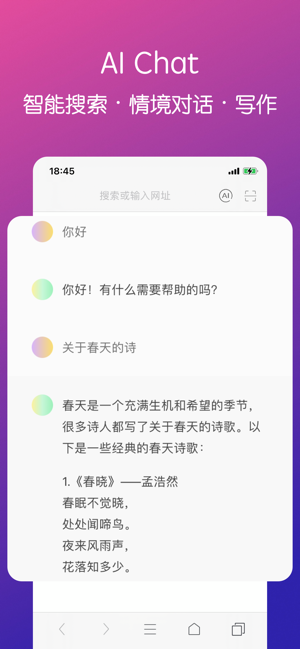 R浏览器ProiPhone版截图2