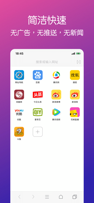 R浏览器ProiPhone版截图8