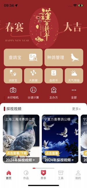 青鸽网iPhone版截图1