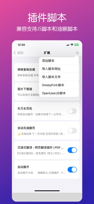 R浏览器ProiPhone版截图3