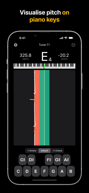 TunerT1ProiPhone版截图5