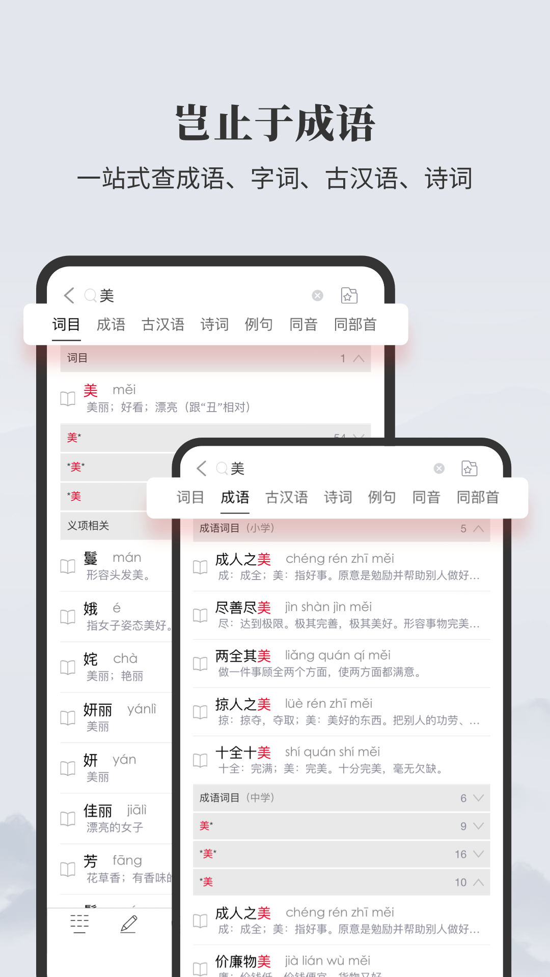 成语大词典鸿蒙版截图5
