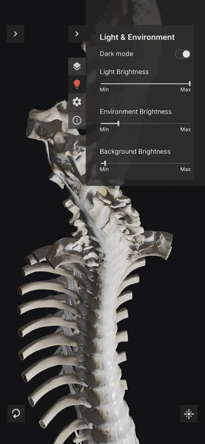 BiomechanicsoftheSpineLiteiPhone版截图8