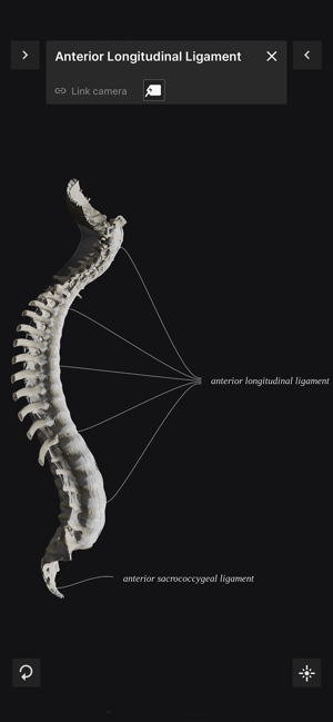 BiomechanicsoftheSpineLiteiPhone版截图3