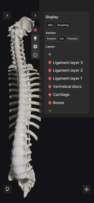 BiomechanicsoftheSpineLiteiPhone版截图1