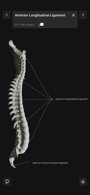 BiomechanicsoftheSpineLiteiPhone版截图4