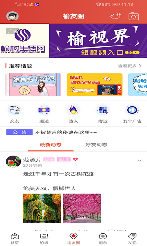 榆树生活网鸿蒙版截图3