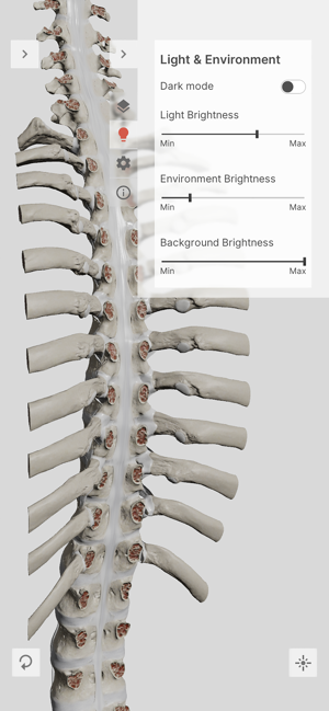 BiomechanicsoftheSpineLiteiPhone版截图5