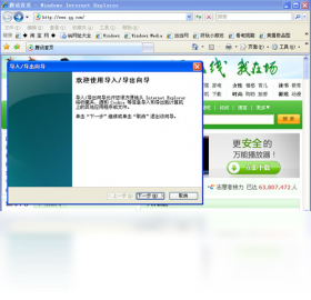 Internet Explorer 8PC版截图3