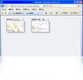 Internet Explorer 8PC版截图1