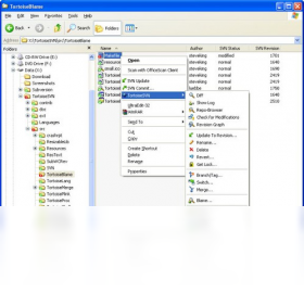 TortoiseSVN 64位PC版截图3
