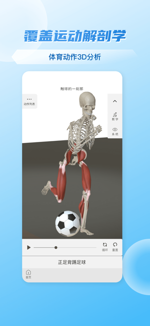 维萨里3D解剖iPhone版截图1