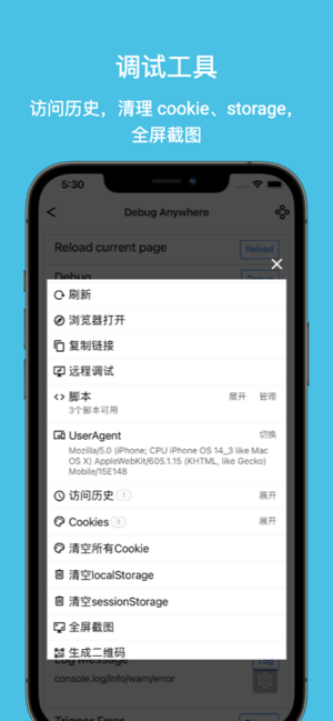 DebugAnywhereiPhone版截图2