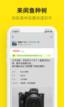 闲鱼截图3