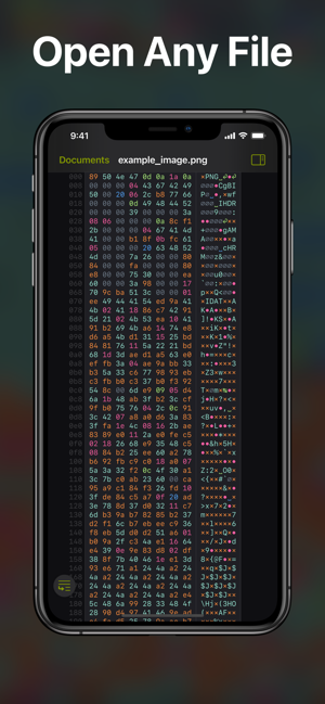 Hexer—HexFileVieweriPhone版截图1