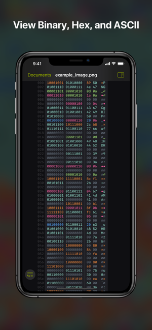 Hexer—HexFileVieweriPhone版截图3