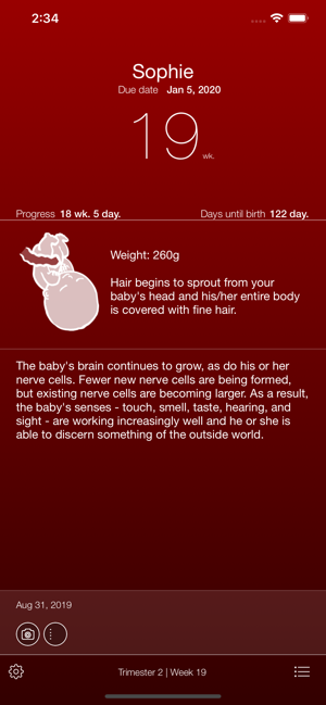 PregnancyAppiPhone版截图2