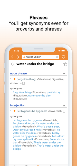 EnglishThesaurusiPhone版截图4