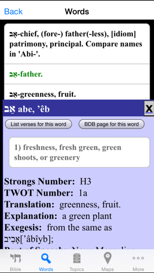 HebrewBibleiPhone版截图3
