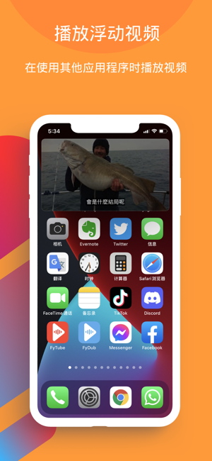 FyTubeiPhone版截图3