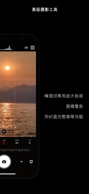 CameraPixelsPROiPhone版截图2