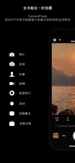 CameraPixelsPROiPhone版截图1