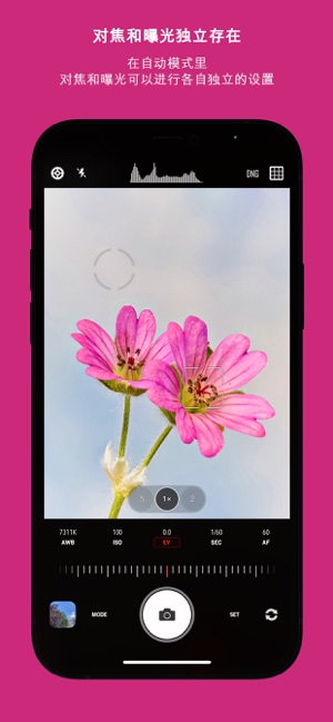 CameraPixelsPROiPhone版截图10