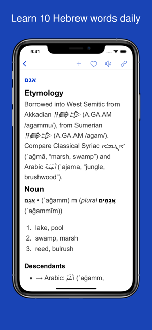 DictionaryofHebrewiPhone版截图4