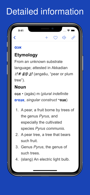 DictionaryofHebrewiPhone版截图2