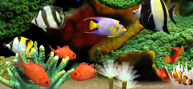 MyReef3DAquarium3iPhone版截图3