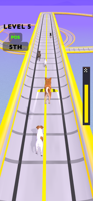 Dog Racing Master: Pet GamesiPhone版截图1