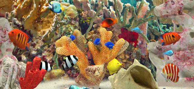 MyReef3DAquarium3iPhone版截图1