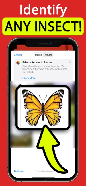 Insect Identifier AI ScanneriPhone版截图2