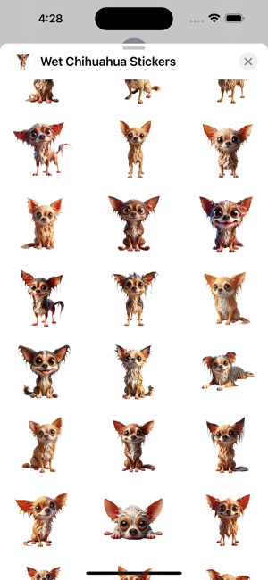 Wet Chihuahua StickersiPhone版截图2