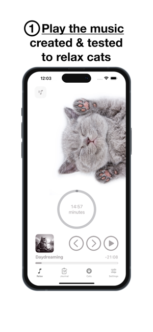Cat RelaxiPhone版截图2