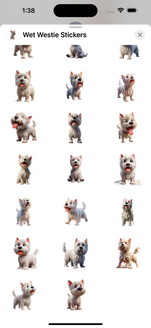 Wet Westie StickersiPhone版截图3