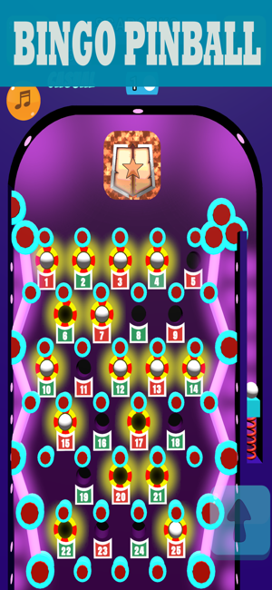 BINGO PINBALL MACHINESiPhone版截图2