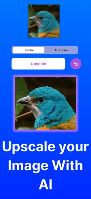 Upscale AI: HD Photo EnhanceriPhone版截图2